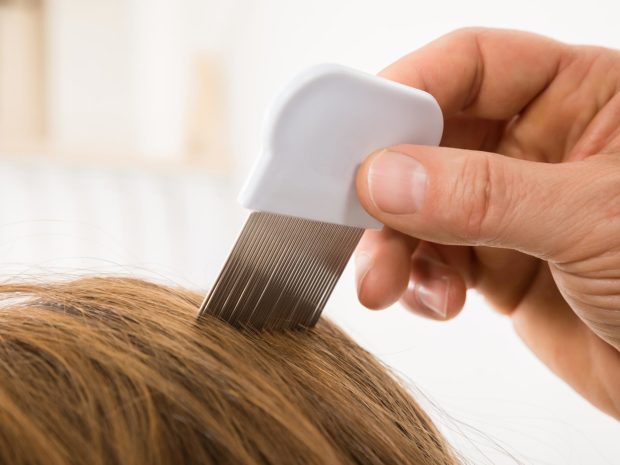 pettine utilizzato per rimuovere i pidocchi