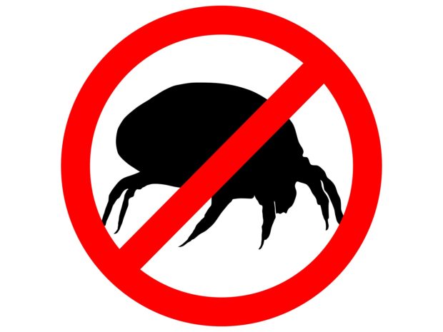 segnale di vietato accesso su una sagoma di un acaro