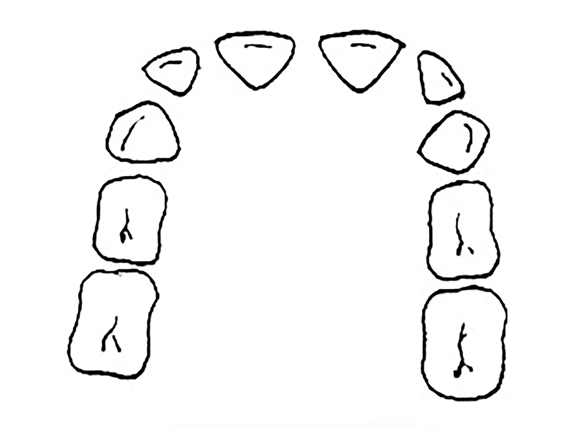immagine della dentatura