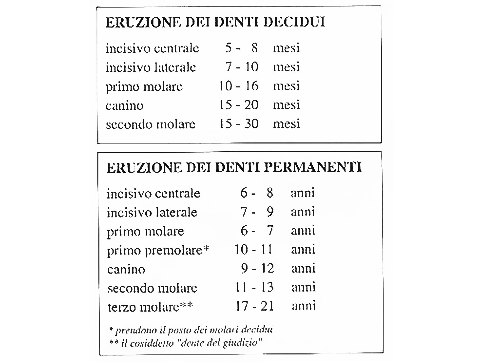 tabella sull'eruzione dei denti decidui e permanenti