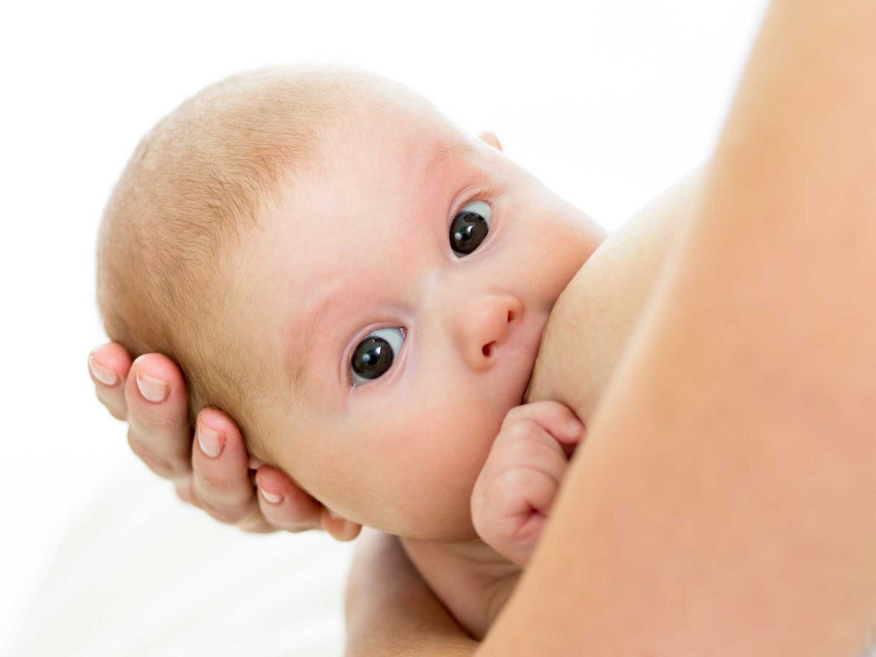 neonato allatta dal seno della mamma