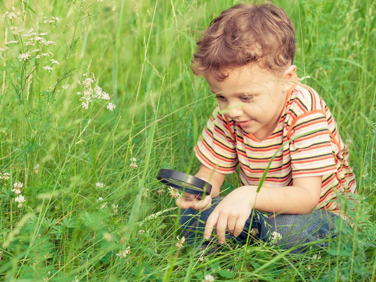 bambino guarda con la lente di ingrandimento le margherite su un prato