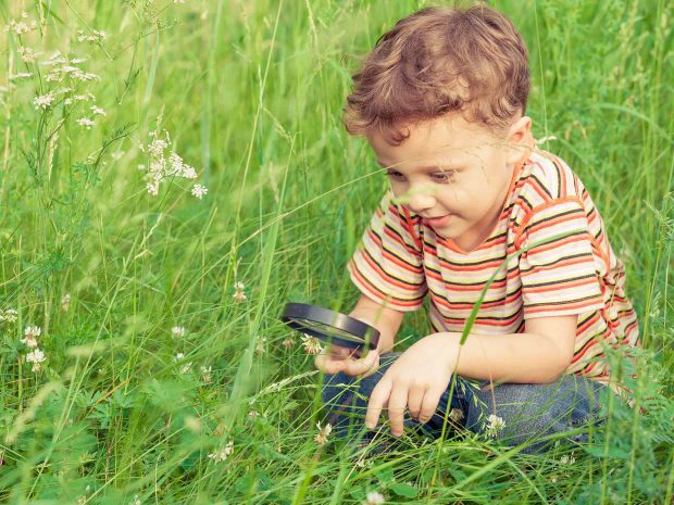 bambino guarda con la lente di ingrandimento le margherite su un prato