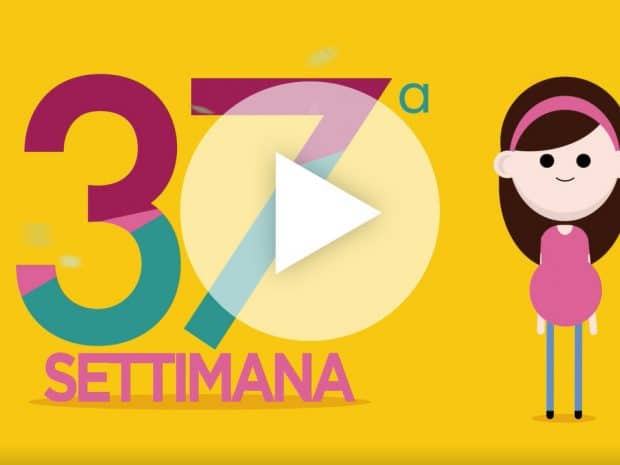 Settimana 37