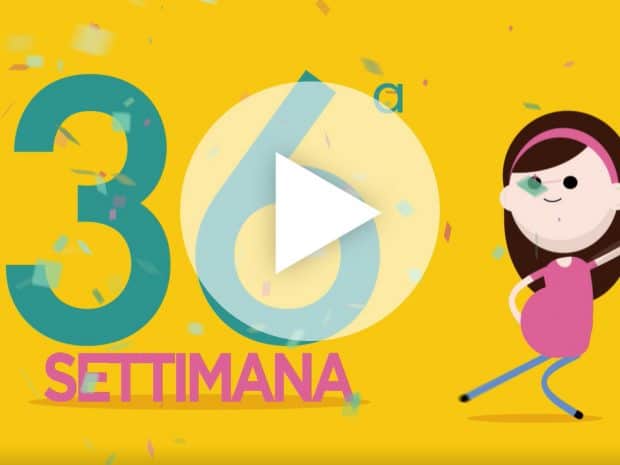 Settimana 36