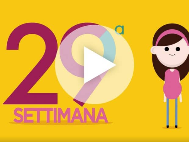 Settimana 29