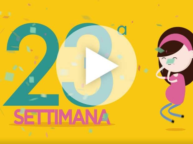 Settimana 23