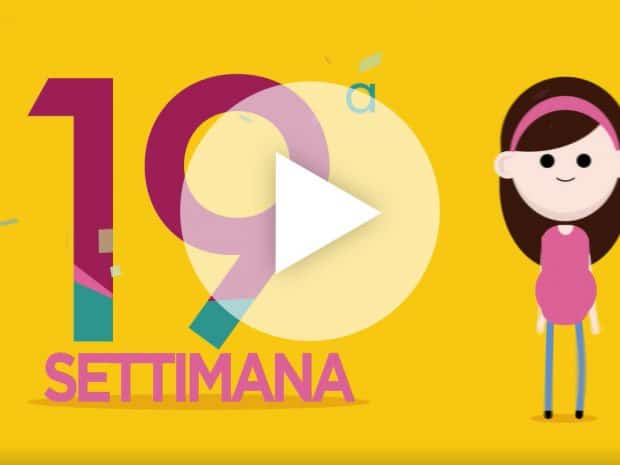 Settimana 19