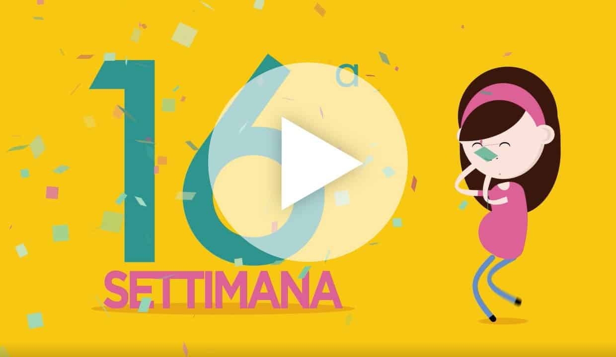 Settimana 16
