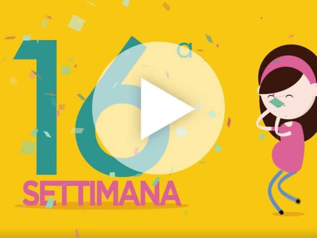 Settimana 16