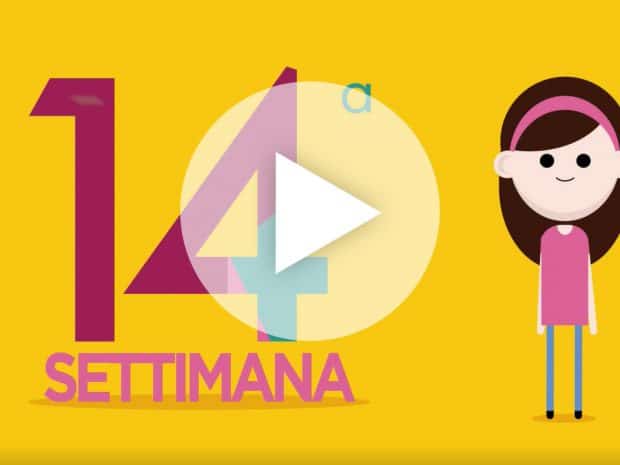 Settimana 14