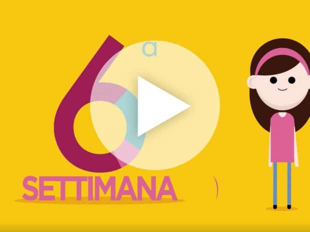 Settimana 6