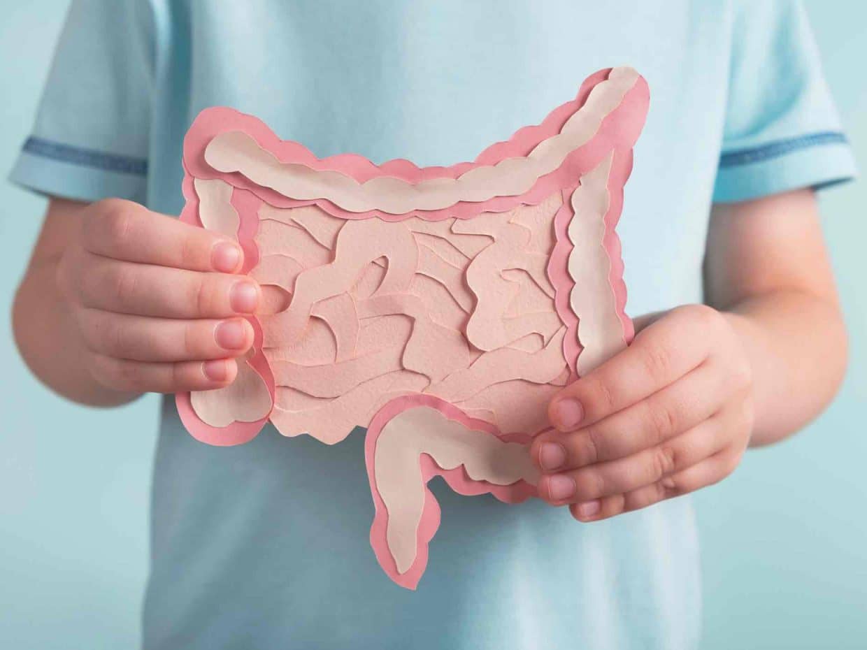 Fermenti lattici per il benessere intestinale