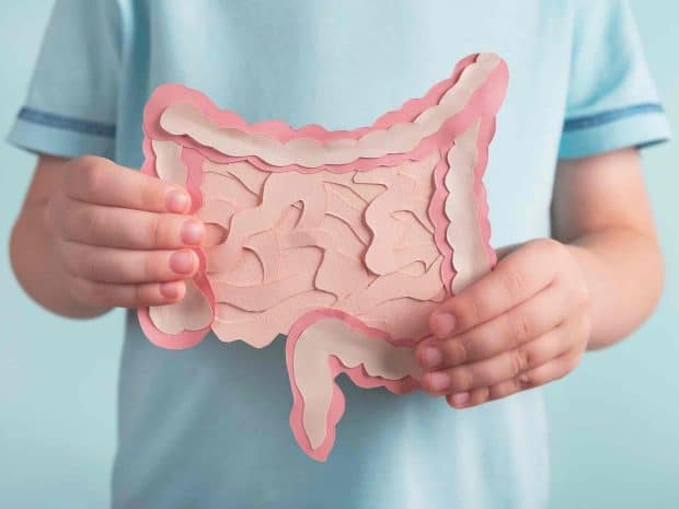 Fermenti lattici per il benessere intestinale