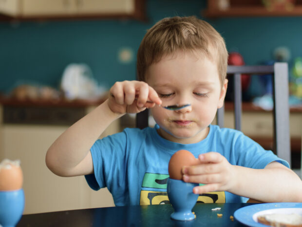 Con l'antibiotico si può mangiare l'uovo?
