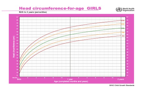 Curve percentili circonferenza cranica femmine