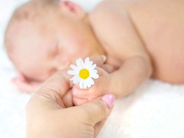 Camomilla per neonato