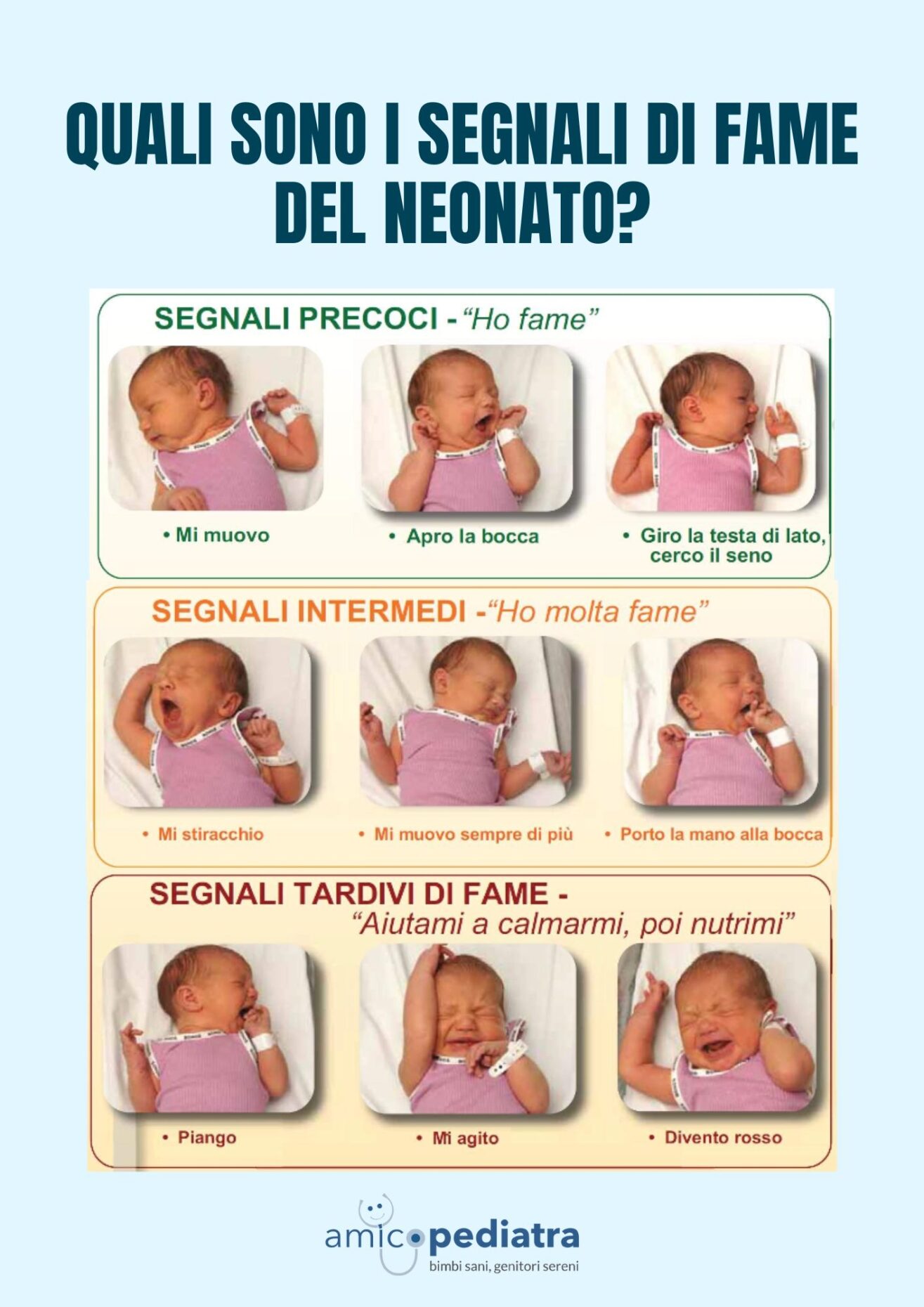 I segnali di fame del neonato: precoci, intermedi e tardivi