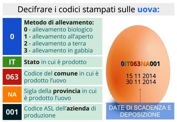 Indicazioni per decifrare i codici stampati sulle uova